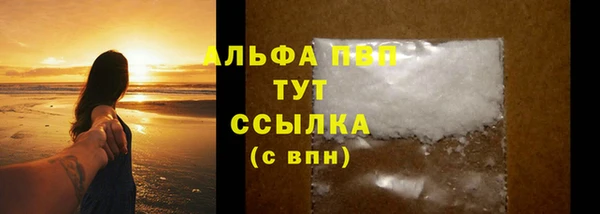 стафф Арсеньев