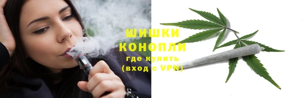 мяу мяу мука Аркадак